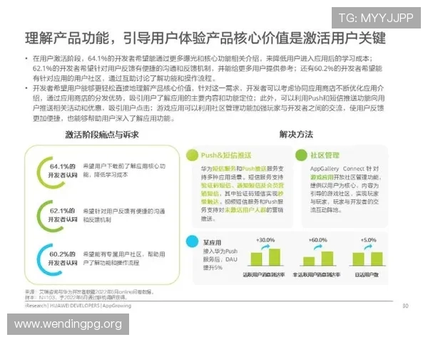 问鼎旗舰网站：提升用户体验实现网站流量持续增长的实用技巧