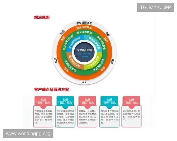 问鼎正规官网：正规官网运营中的数据分析与持续改进策略